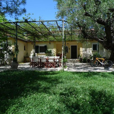 Theni Olive Grove Villa Kato Yerakarion Exteriör bild