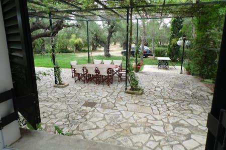 Theni Olive Grove Villa Kato Yerakarion Exteriör bild
