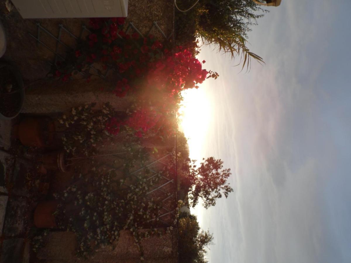 Theni Olive Grove Villa Kato Yerakarion Exteriör bild