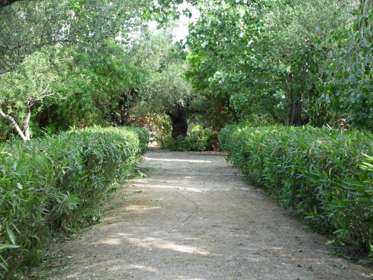 Theni Olive Grove Villa Kato Yerakarion Exteriör bild