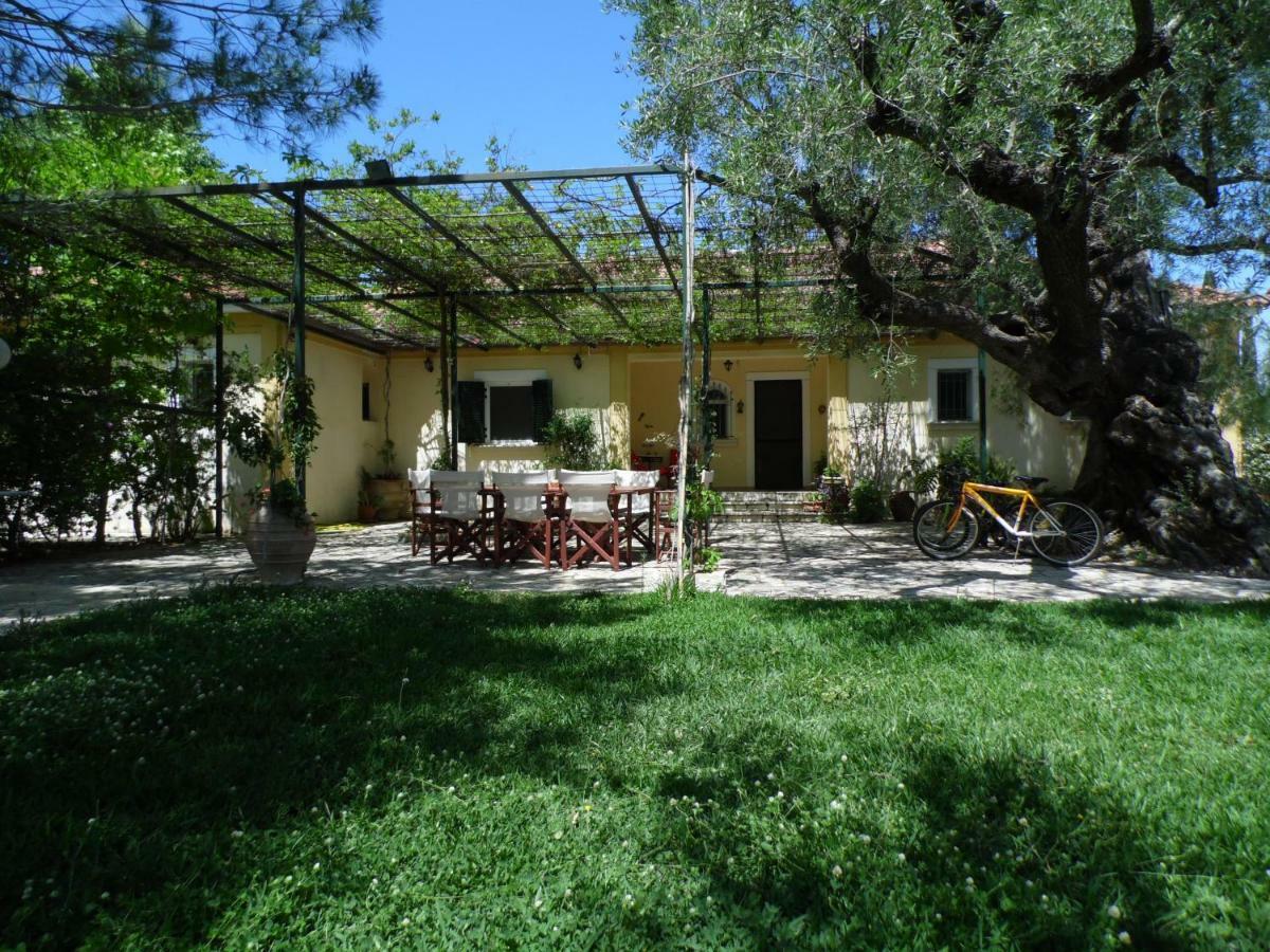Theni Olive Grove Villa Kato Yerakarion Exteriör bild