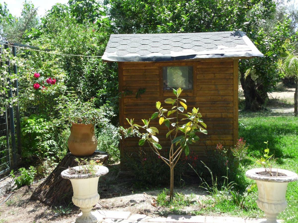 Theni Olive Grove Villa Kato Yerakarion Exteriör bild